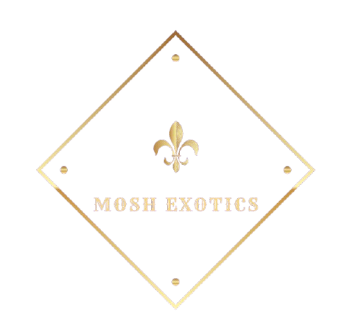 Mosh Exotics Logo