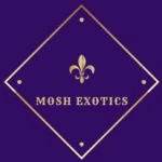 Mosh Exotics